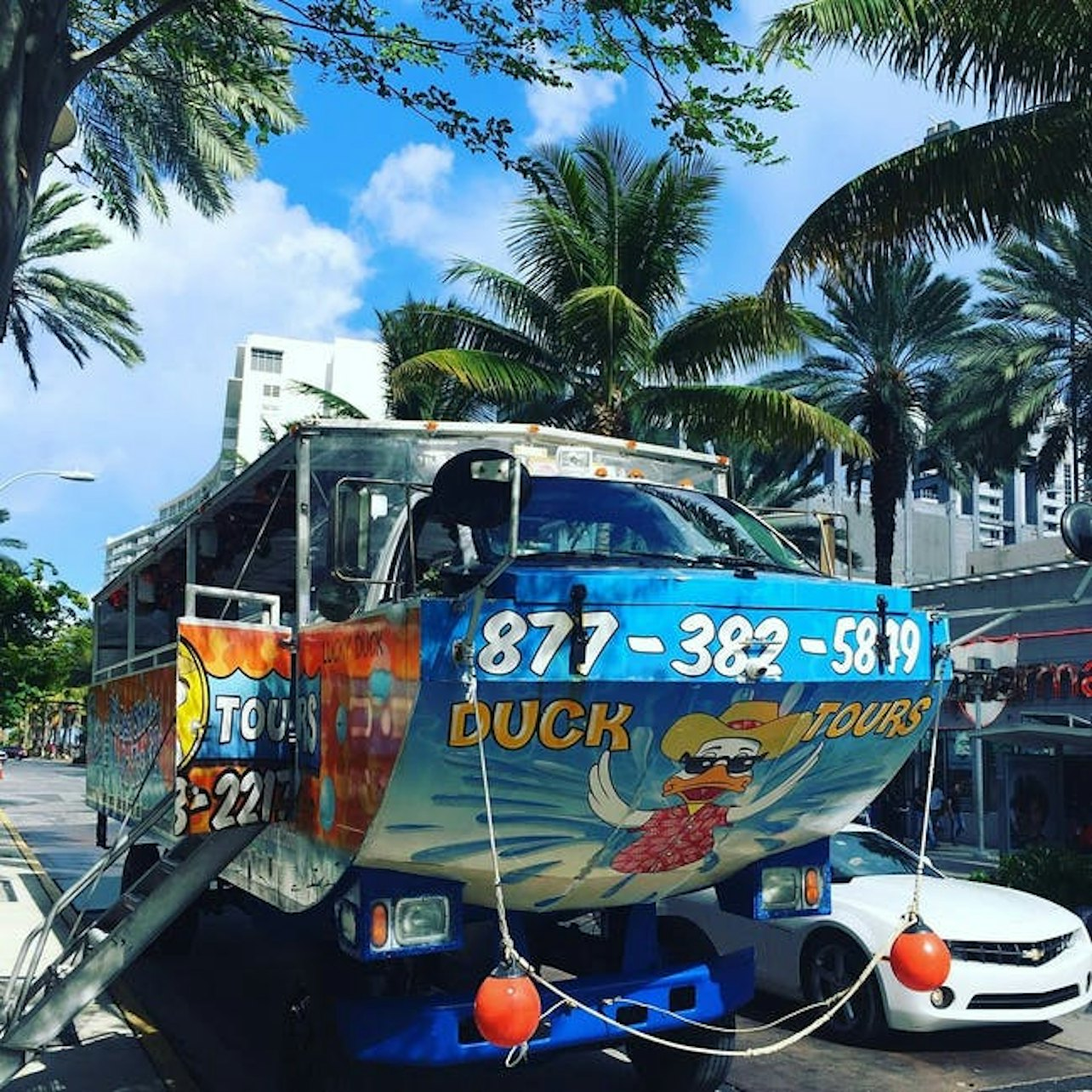 Miami: Duck Tours South Beach - Photo 1 of 5